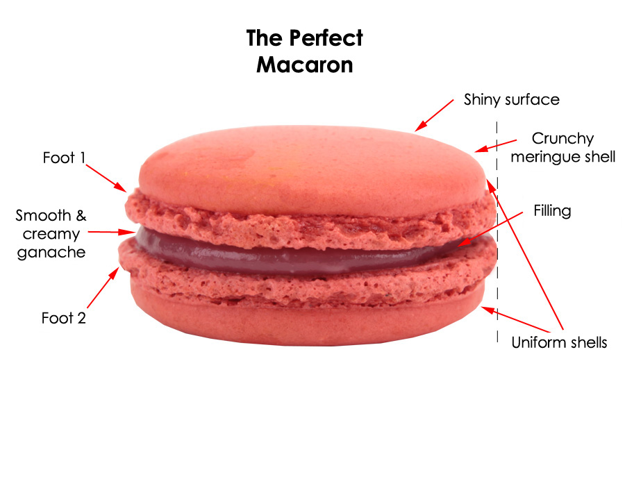 Anatomy of a macaron