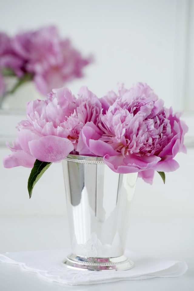 Peonies in silver vase